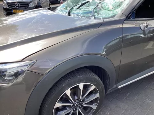 Scherm links-voor-8351014