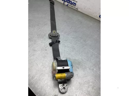 Veiligheidsgordel links-voor-7743392