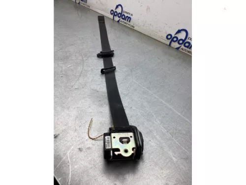 Veiligheidsgordel links-voor-8262814