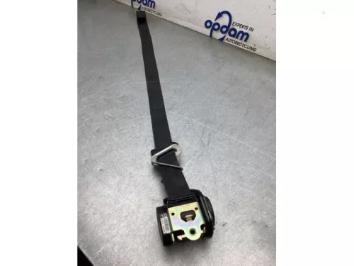 Veiligheidsgordel links-voor-7883194