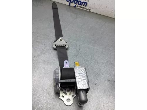 Veiligheidsgordel links-voor-7885562