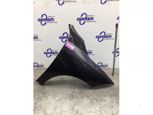 Scherm rechts-voor-8284477