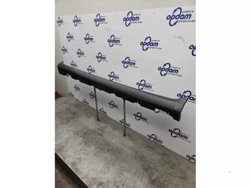 Zijskirt links-8316996