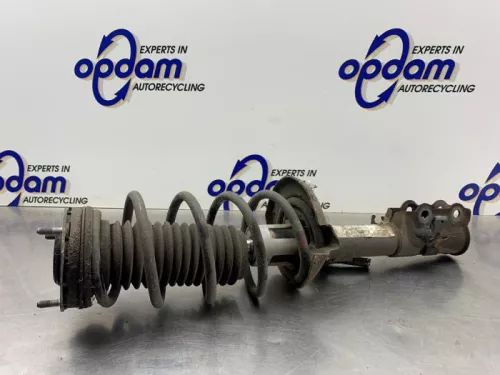 Schokdemperpoot links-voor-8289762