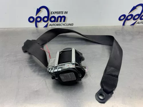 Veiligheidsgordel links-voor-8319124