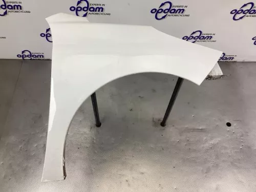 Scherm rechts-voor-8357160