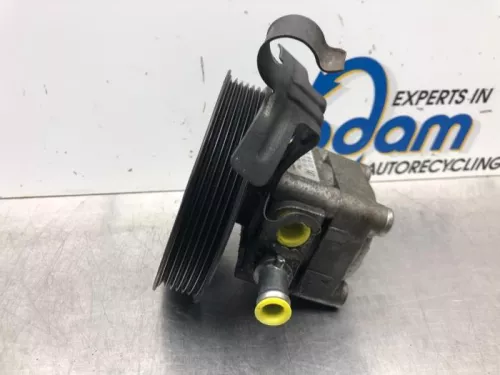 Stuurbekrachtiging Pomp-7609724