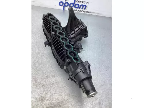 Inlaatspruitstuk-7867684