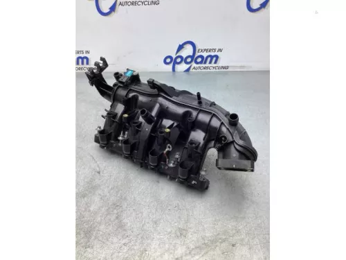 Inlaatspruitstuk-7387287