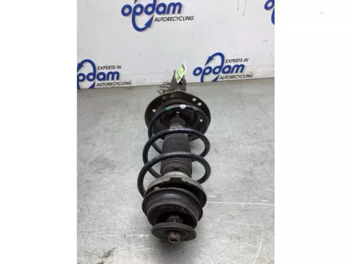 Schokdemperpoot rechts-voor-8254144
