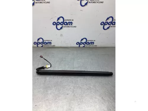 Gasdemper rechts-achter-