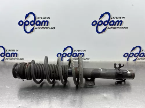 Schokdemperpoot links-voor-8208575