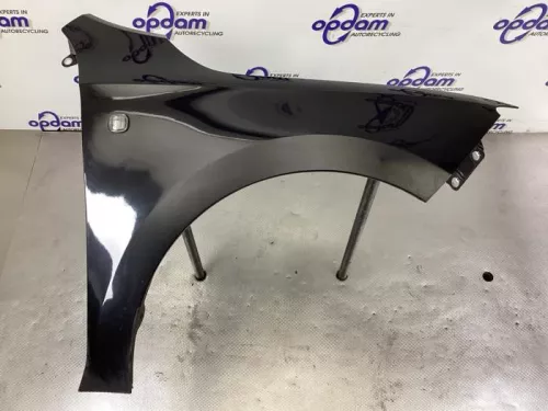 Scherm rechts-voor-8321012