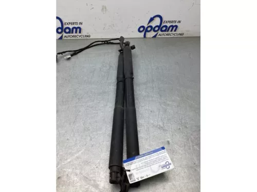 Set Gasdempers Achterklep-8162259