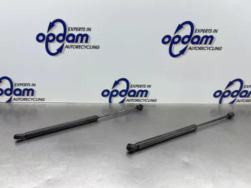 Set Gasdempers Achterklep-8331294