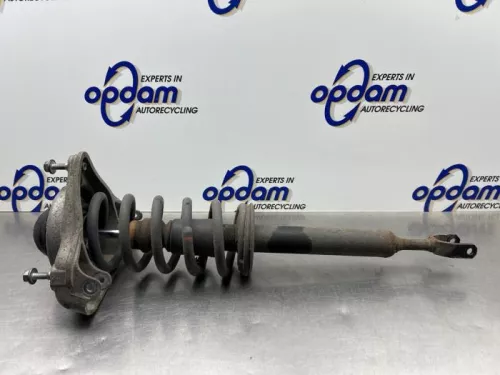 Schokdemperpoot links-voor-8210764