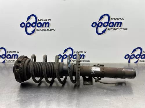 Schokdemperpoot links-voor-8333260