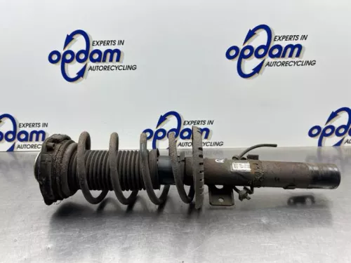 Schokdemperpoot rechts-voor-8333260