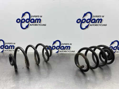 Schroefveer achter-8323945