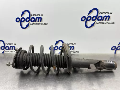 Schokdemperpoot links-voor-8264708