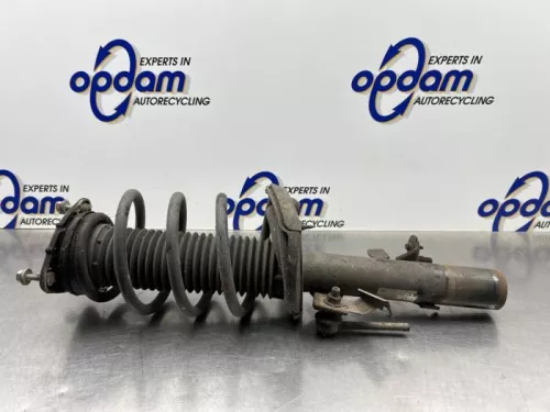 Schokdemperpoot rechts-voor-8264708