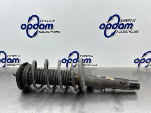 Schokdemperpoot rechts-voor-8187513