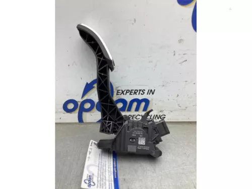 Gaspedaalpositie Sensor-8329232