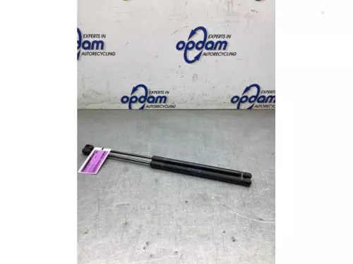 Set Gasdempers Achterklep-8326090