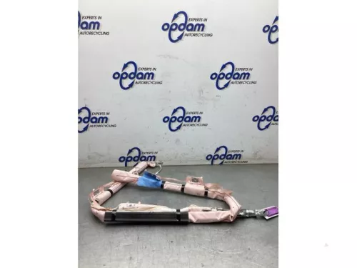 Airbag hemel links-8293887