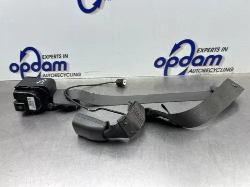 Veiligheidsgordel midden-achter-8228234