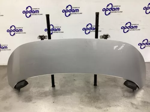 Afdekplaat Cabriodak-8269838