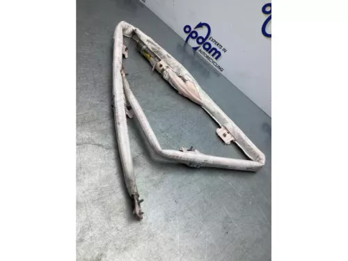 Airbag hemel links-7714012