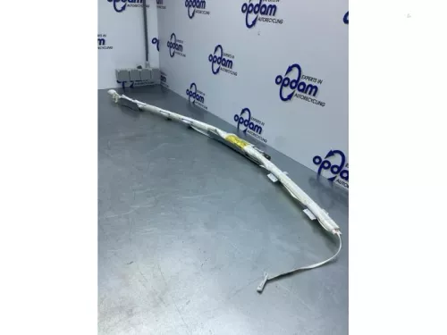 Airbag hemel links-7729992