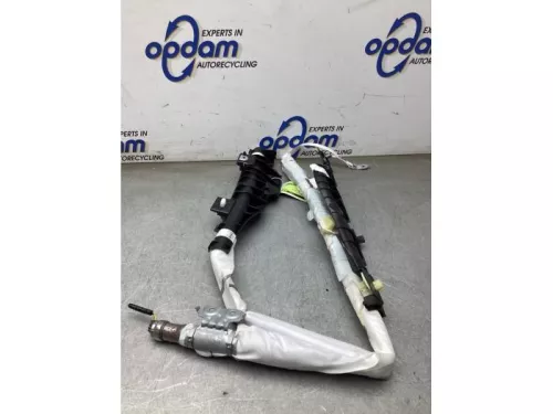 Airbag hemel links-8291803