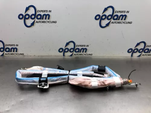 Airbag hemel rechts-8158117