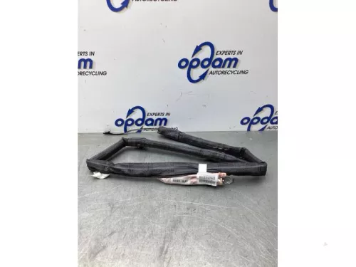 Airbag hemel rechts-7936875