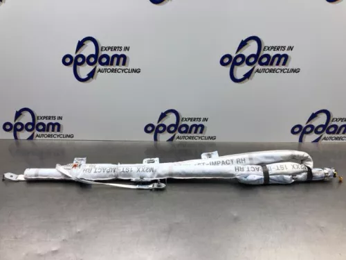 Airbag hemel rechts-8025105