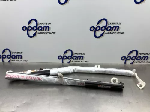 Airbag hemel rechts-8079069