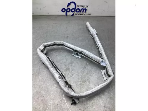 Airbag hemel rechts-8052671