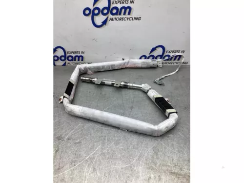 Airbag hemel rechts-8077827