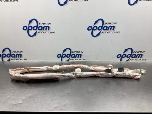 Airbag hemel rechts-8066128