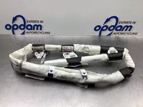 Airbag hemel rechts-7613982