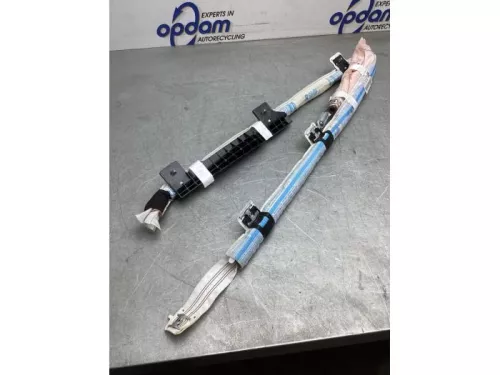 Airbag hemel rechts-8116243