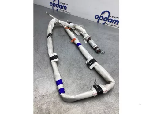 Airbag hemel rechts-6219815