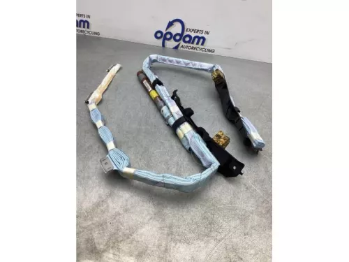 Airbag hemel rechts-7361567