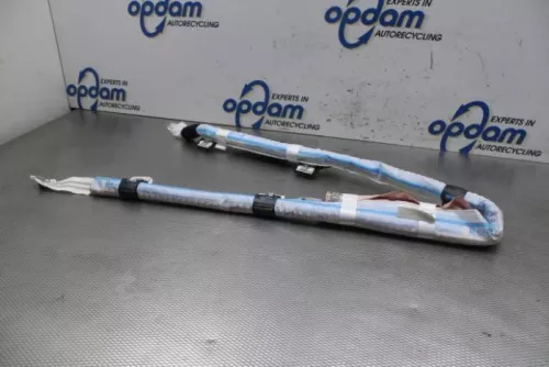 Airbag hemel rechts-8252642