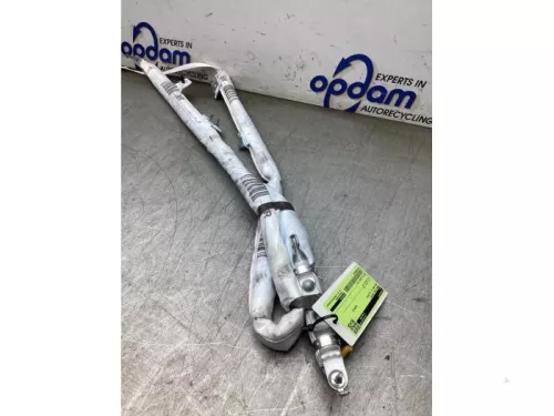 Airbag hemel rechts-8133371