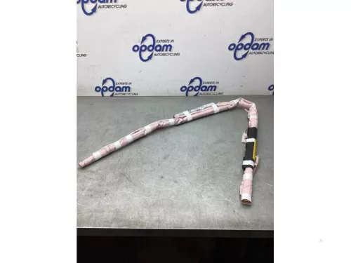 Airbag hemel rechts-8186410