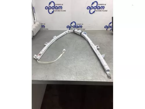 Airbag hemel rechts-8094018