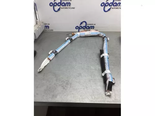 Airbag hemel rechts-8153606